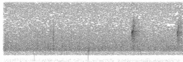 Sombre Hummingbird - ML269561641