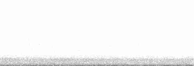 Белоголовый орлан - ML269574791
