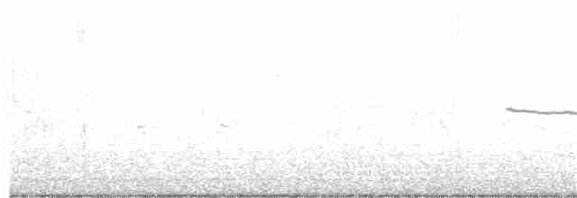 Bruant à couronne blanche (gambelii) - ML269590651