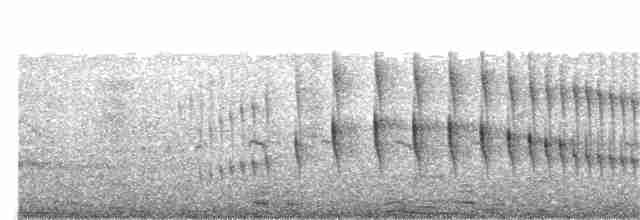 Curve-billed Reedhaunter - ML269776201
