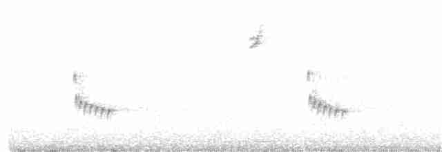Каролинский крапивник - ML269781811