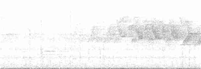 Cerulean Warbler - ML269853891