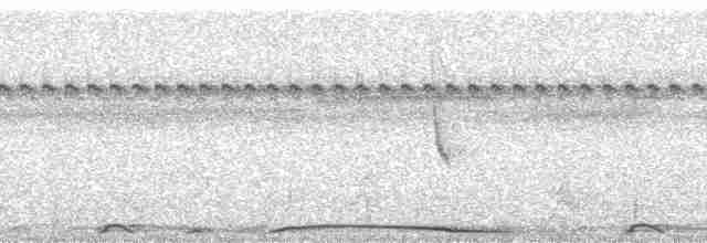 holub neotropický - ML269920