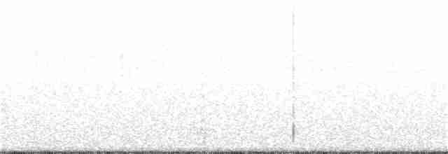 カナダカケス（obscurus／griseus） - ML269977221