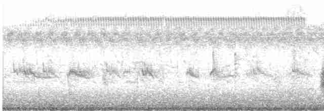 Clamorous Reed Warbler - ML269997861