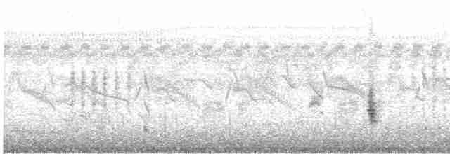 Clamorous Reed Warbler - ML269997911