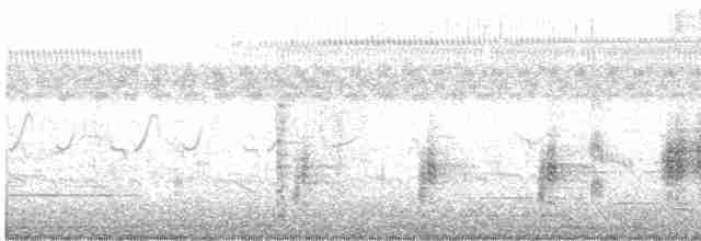 Clamorous Reed Warbler - ML269997921