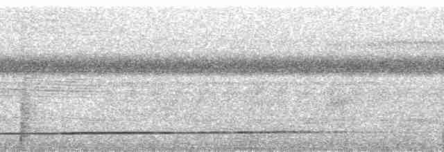 White-throated Tinamou - ML270104