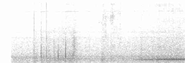 Lyre-tailed Nightjar - ML270179191