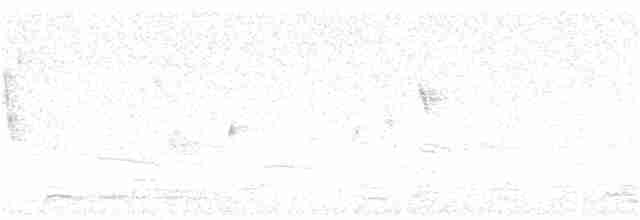Орел-карлик малий - ML270196891