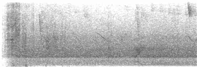 Беретник рудочеревий - ML270241571