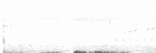 White-naped Xenopsaris - ML270261491