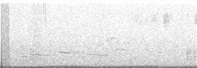Boyalı Bıldırcınyelvesi - ML270264971