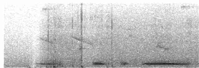 holub skvrnokřídlý - ML270276231