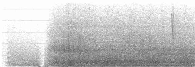 Тапіранга білодзьоба - ML270315251