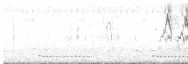White Wagtail (Hodgson's) - ML270359331
