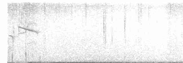 Трав’янка білошия - ML270360041