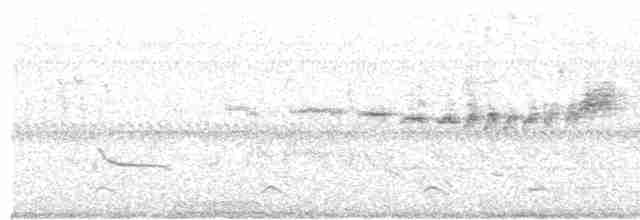 Prairie Warbler - ML27036131