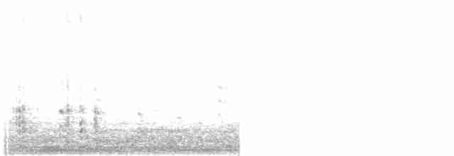 Лиска американська (червонобляшкова) - ML270393501