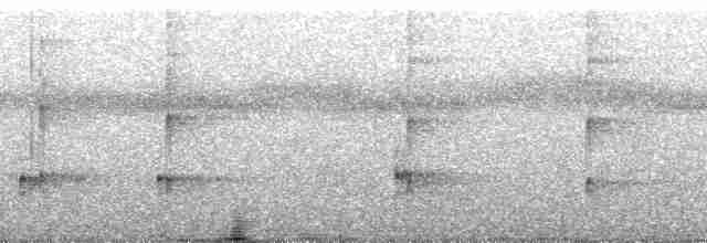 Шлемоносная чубатка - ML270395