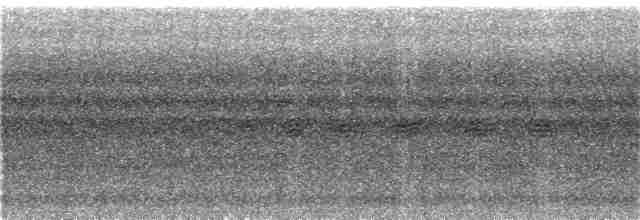 Mirlo Acuático Coroniblanco - ML270428011