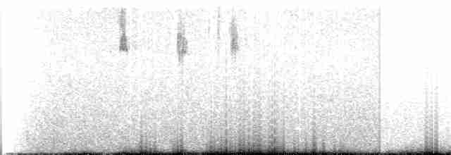 Blackpoll Warbler - ML270498271
