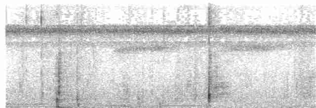 Tinamou de Berlepsch - ML270499831