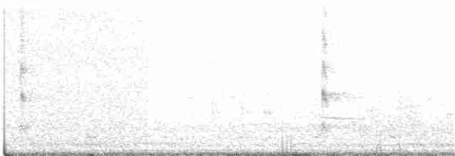 Малый черноголовый дубонос - ML27051751