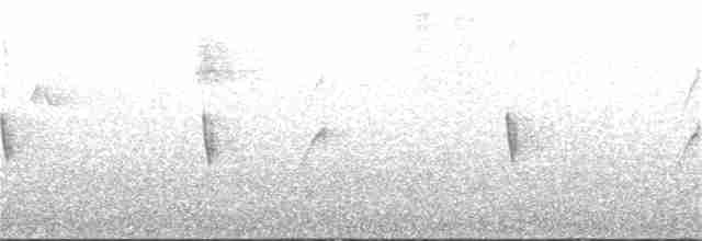 Indigo-capped Hummingbird - ML270524631
