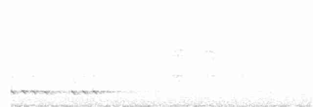 White-eared Honeyeater - ML270573491