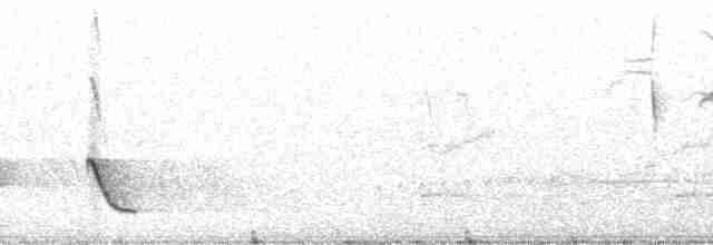 Белоухий крапивник - ML270639