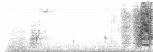 Гракл пурпуровошиїй (підвид versicolor) - ML27064211