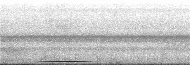 holub šedočelý - ML270725651