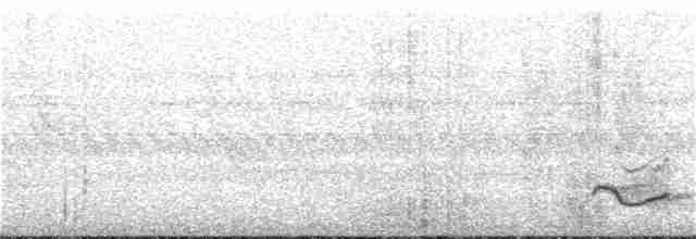 Fahlbrustdrossel - ML270755511