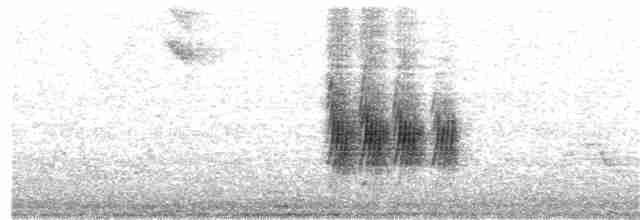 Eufonia Ventricastaña - ML270760711