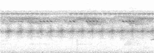 Tüpfelkronen-Ameisenvogel - ML270780901