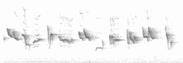 Мангровая белоглазка - ML270890151