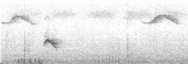 Purplish-mantled Tanager - ML270894
