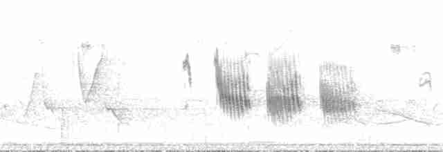 White-rumped Swallow - ML270911361