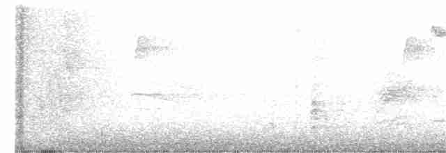 Дрозд-отшельник - ML270971361
