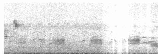 Clamorous Reed Warbler - ML27105381