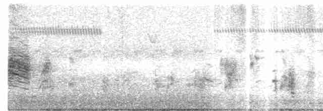 Clamorous Reed Warbler - ML27105391