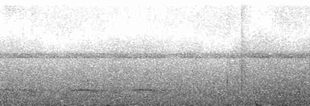 Lacivert Kuyruklu Trogon - ML271102