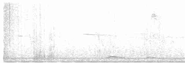 Инкская земляная горлица - ML27122431