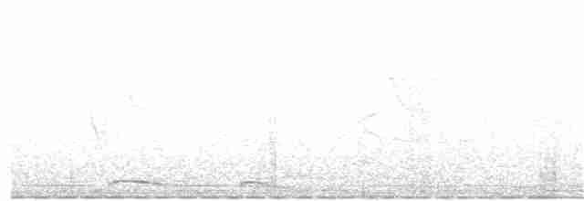 holoubek mexický - ML27122441