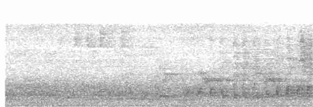 白腹秧雞 - ML271421361