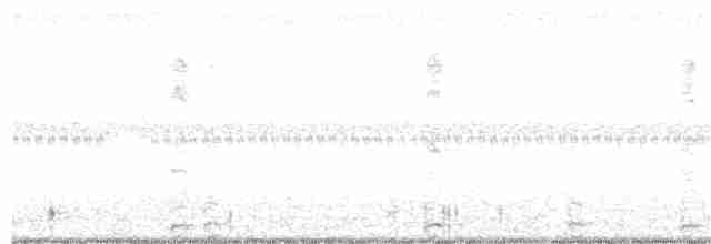 白腹秧雞 - ML271424771