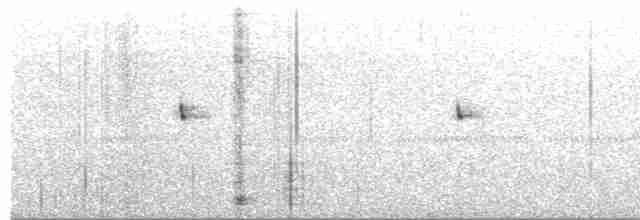 Scissor-tailed Nightjar - ML271428631
