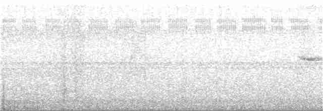 Тапіранга білодзьоба - ML271452451