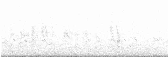 Lesser Whitethroat (halimodendri) - ML271689871